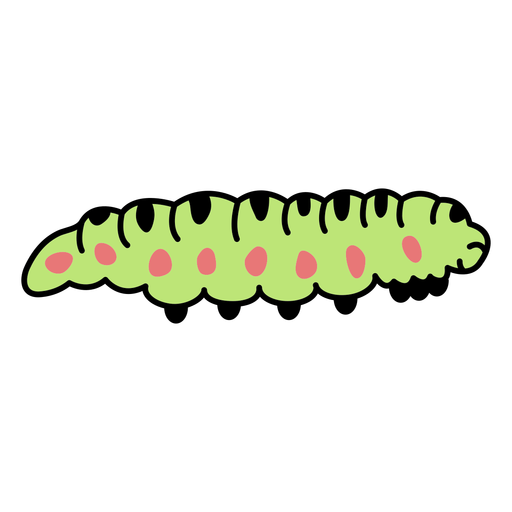 Cegonha de cor de inseto de verme Desenho PNG