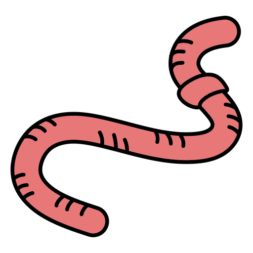 Earthworm color stroke simple PNG Design