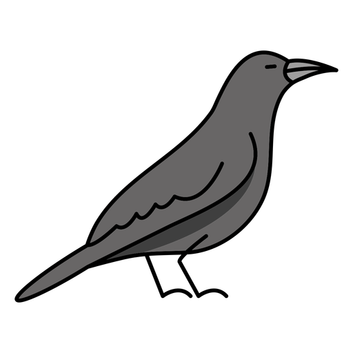 Grey pigeon color stroke profile PNG Design