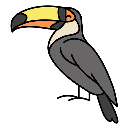 Toucan tropical bird color stroke