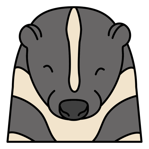 Curso de cor de urso animal selvagem Desenho PNG