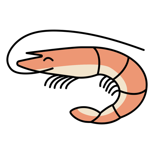 Happy shrimp animal color stroke PNG Design