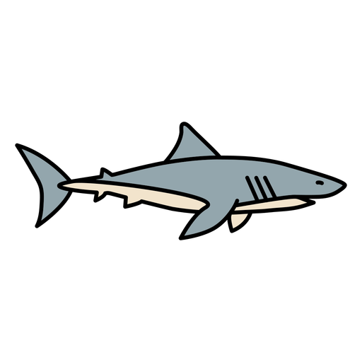 Shark animal color stroke PNG Design