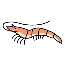 Trazo de color de animal marino de camarón Diseño PNG