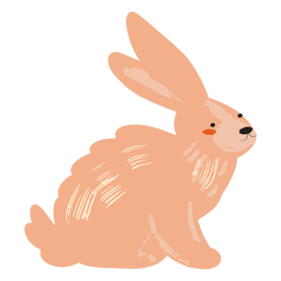 Side rabbit flat Transparent PNG