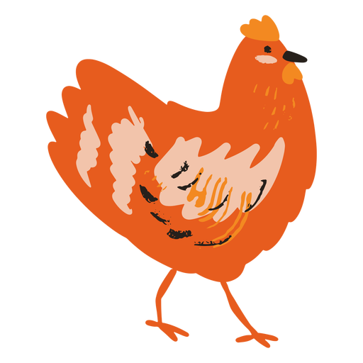 Pollo de pie plano