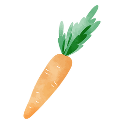 Watercolor carrot design PNG Design Transparent PNG