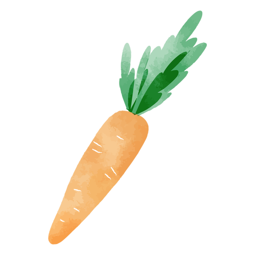 Watercolor carrot design PNG Design