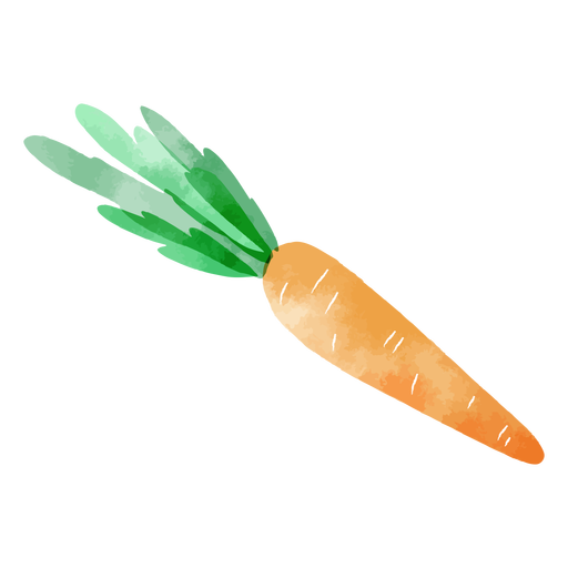 Acuarela vegetal de zanahoria Diseño PNG