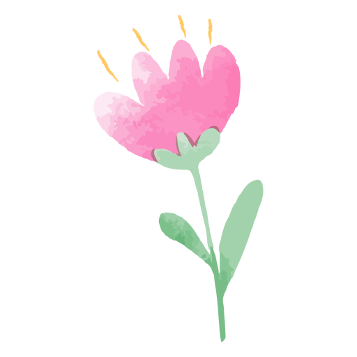 Aquarela de tulipa delicada