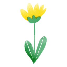 Aquarela de tulipa fofa
