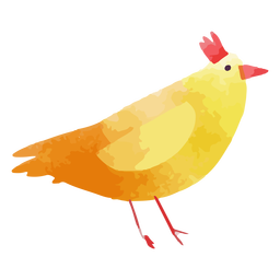 Aquarela de frango de fazenda Desenho PNG