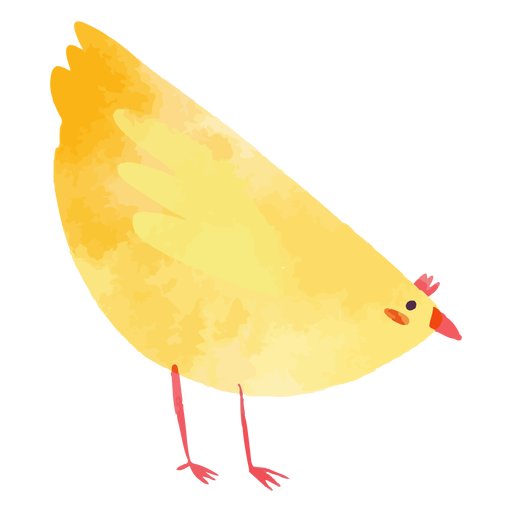 Cute chicken watercolor
