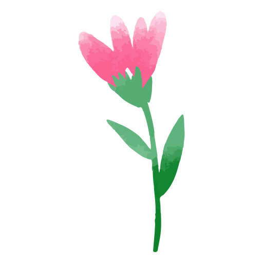 Natureza tulipa aquarela