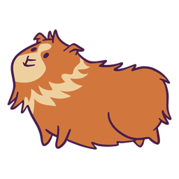 Hairy guinea pig flat PNG Design