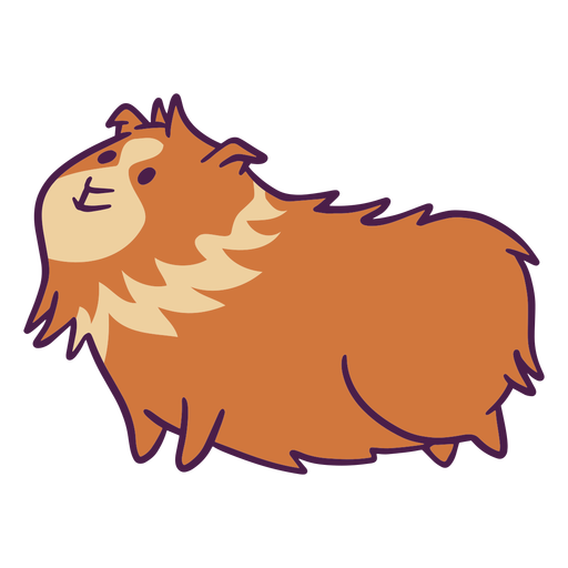 Hairy guinea pig flat