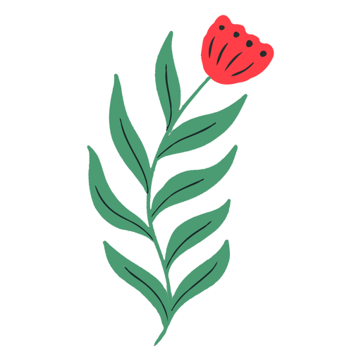 Flor roja de tallo largo Diseño PNG