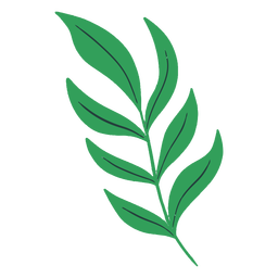 Hojas verdes planas Diseño PNG