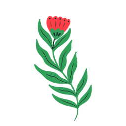 Tulipán rojo de tallo largo Diseño PNG
