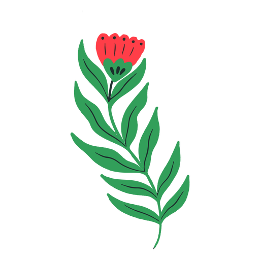 Rote Tulpe mit langem Stiel PNG-Design