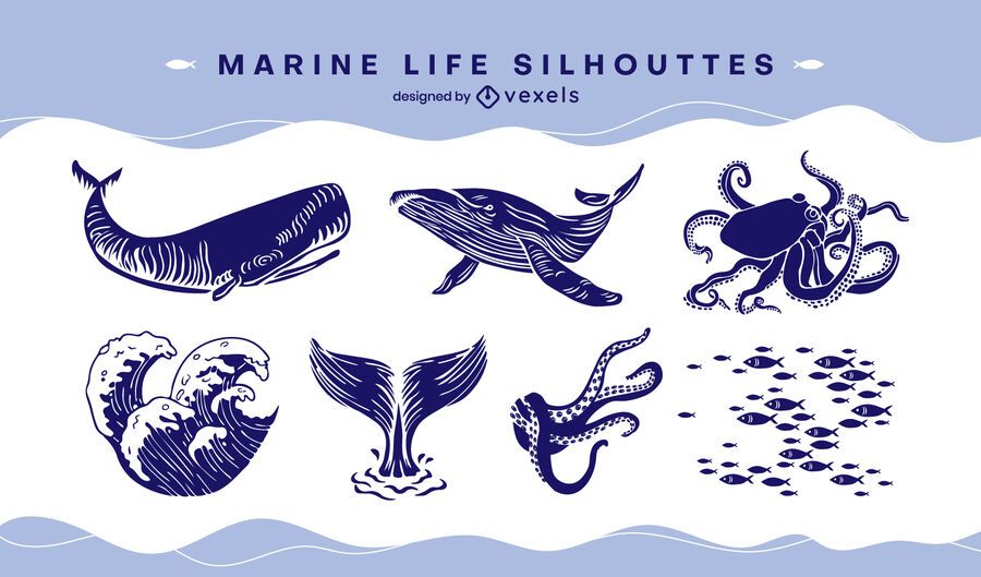 Marine life set cut-out Marine life set cut-out