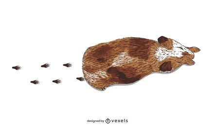 Meerschweinchen Spur Illustration