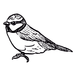 Realistic bird hand-drawn PNG Design