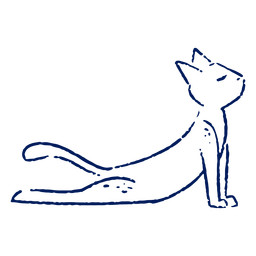 Golpe de gato de yoga Transparent PNG