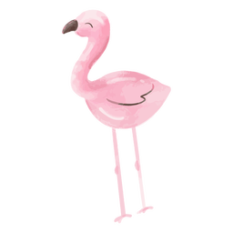 Aquarela de flamingo feliz Desenho PNG