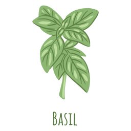 Basil herb flat PNG Design Transparent PNG