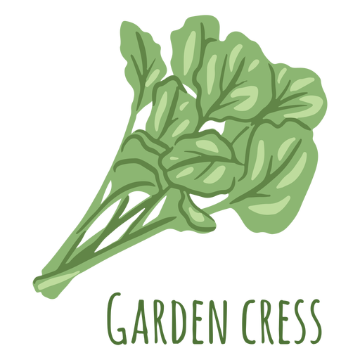 Garden cress herb flat