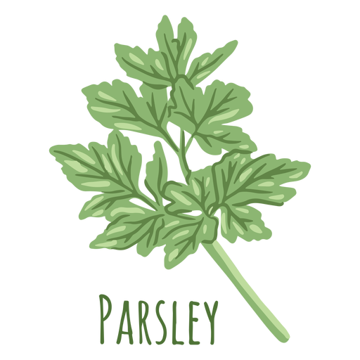 Parsley herb flat