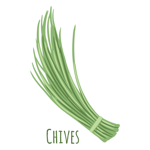 Chives herb flat PNG Design
