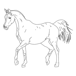 Cavalo realista desenhado à mão Transparent PNG