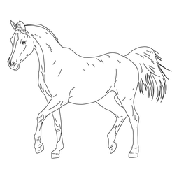 Realistisches Pferd handgezeichnet PNG-Design