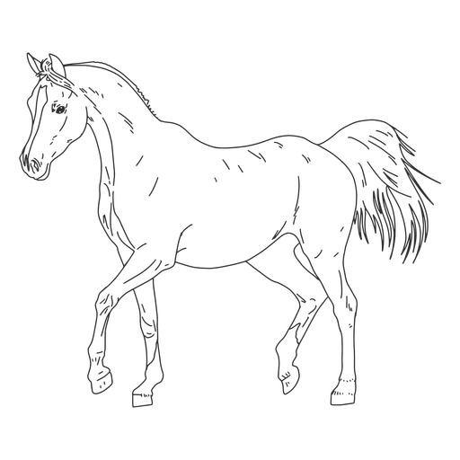 Design PNG E SVG De Cavalo Realista Desenhado à Mão Para Camisetas