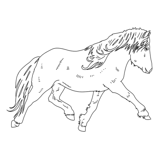 Pony realistisch handgezeichnet PNG-Design