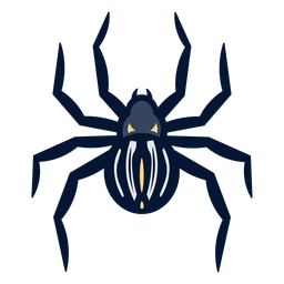 Spider top view flat PNG Design