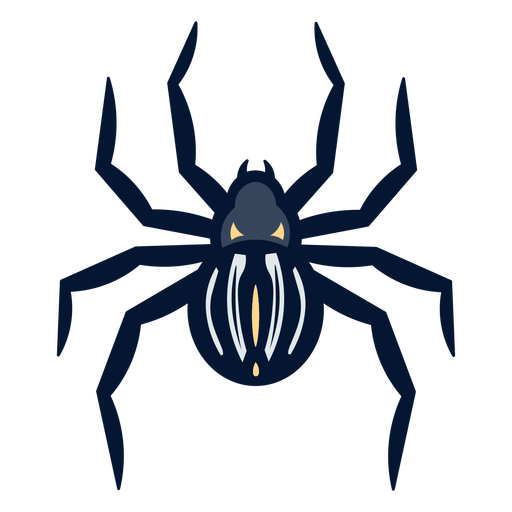 Spider top view flat PNG Design