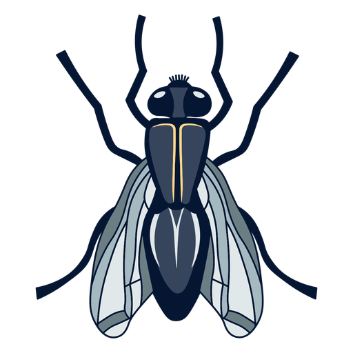 Fly top view flat Desenho PNG