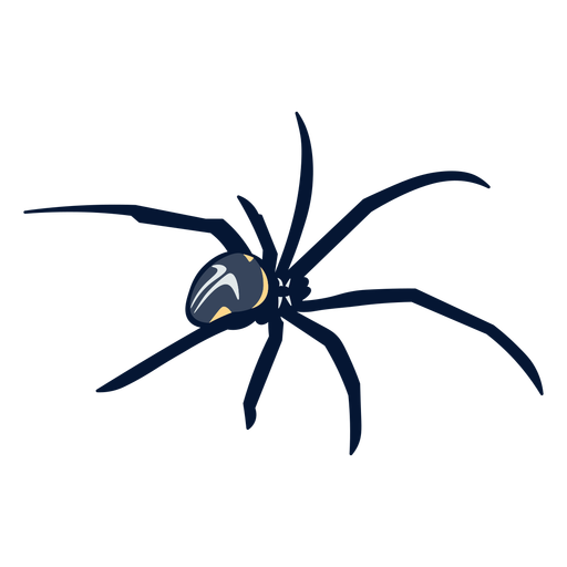 Spider walking flat - Transparent PNG & SVG vector file