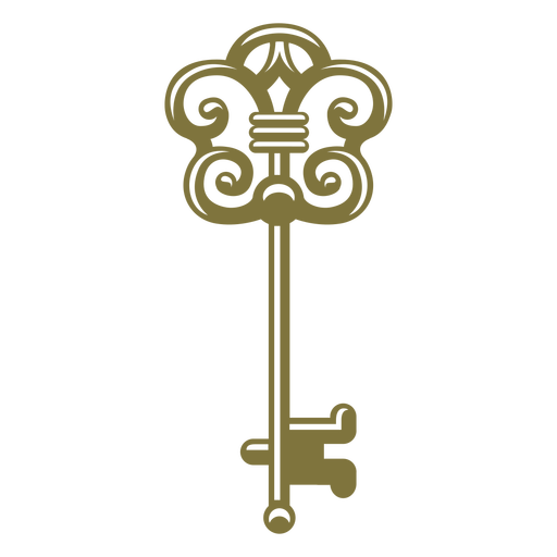 Antique elegant key