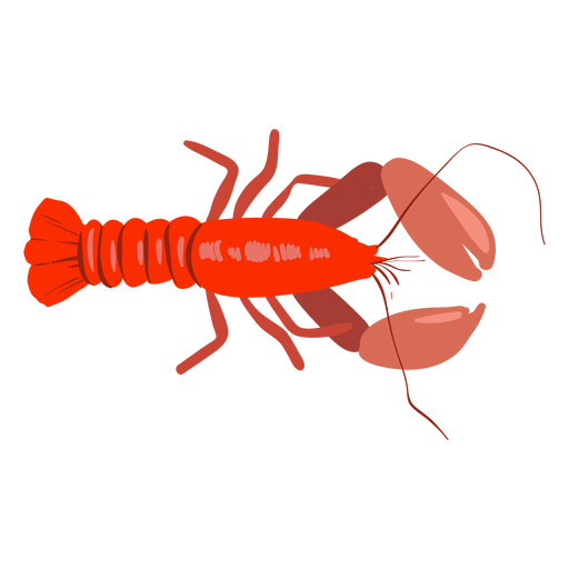 Lobster sea animal