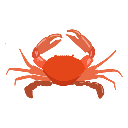 Crab aquatic animal PNG Design