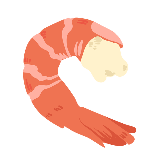 Shrimp food illustration