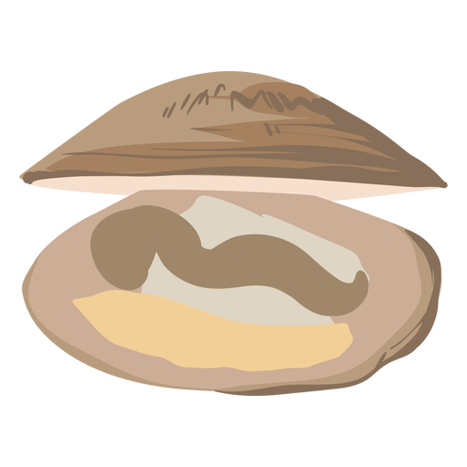 Clam food illustration Transparent PNG & SVG vector file