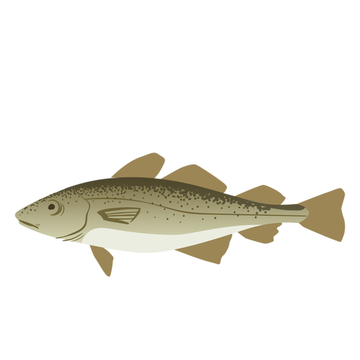 Swimming fish illustration