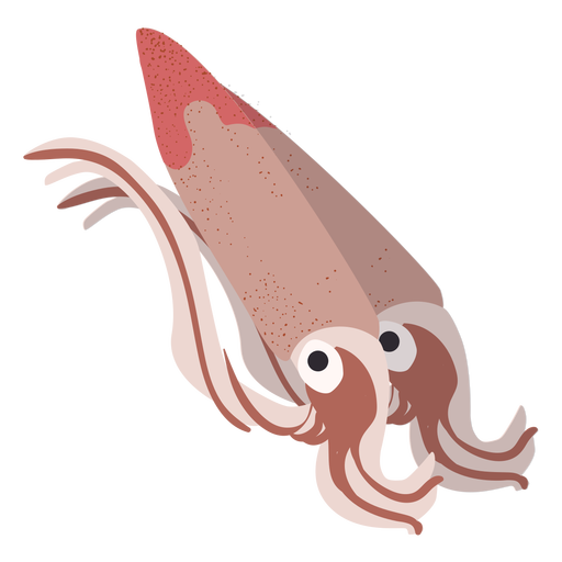 Squid sea illustration PNG Design