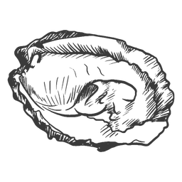 Von Hand gezeichnete Meeresfrüchte - 1 PNG-Design