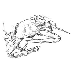 Von Hand gezeichnete Meeresfrüchte - 3 PNG-Design